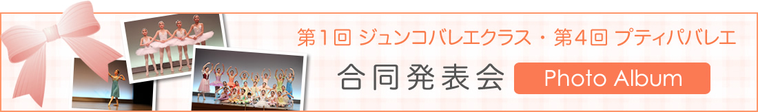 フォトアルバム：