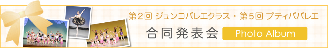 フォトアルバム：