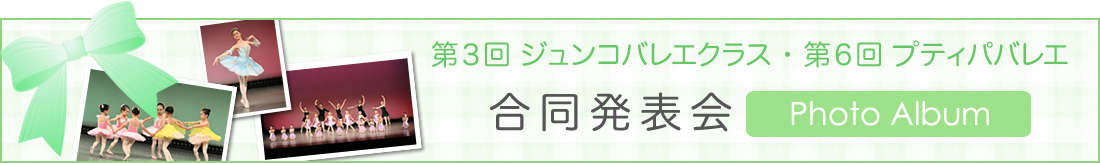 フォトアルバム：