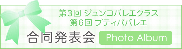 フォトアルバム：